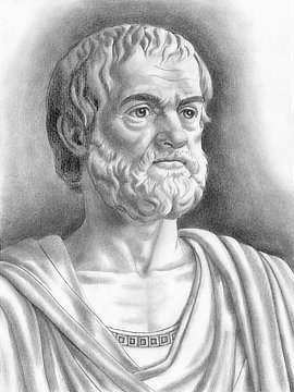 Aristotle, drawing by Theo van Oostrom